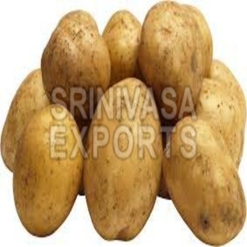 Fresh Potato - Raw, Round & Oval, Brown - Natural Taste, No Artificial Color, Chemical Free, Safe Packaging for Cooking, Human Consumption