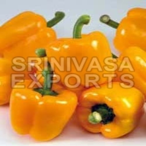 No Artificial Color Rich Natural Taste Healthy Fresh Yellow Capsicum