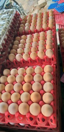 Healthy Texture And Antioxidant High Source Of High Protein Brown Eggs 