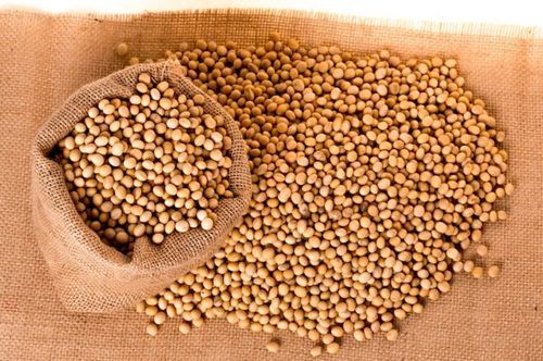 Natural Dried Non-GMO Soybeans Seeds With High Protein And 12 Months Shelf Life With High Protein And 12 Months Shelf Life