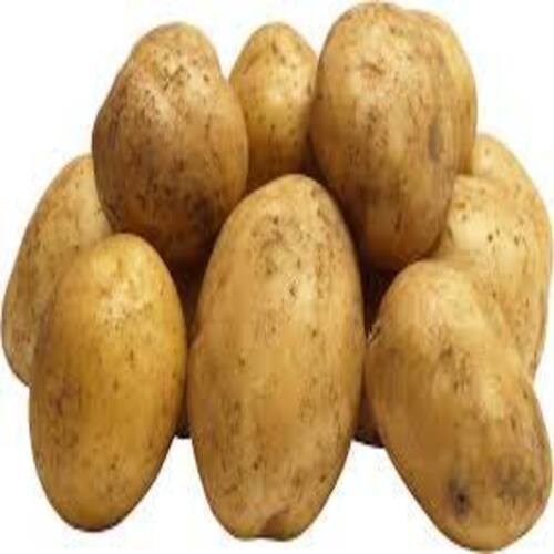 Round & Oval Mild Flavor Chemical Free Rich Natural Taste Organic Brown Fresh Potato