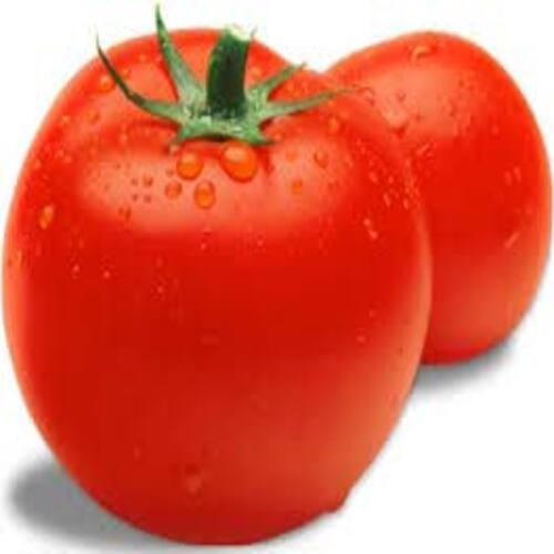 Mild Flavor Pulpy Chemical Free Healthy Natural Taste Red Fresh Tomato
