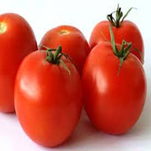 No Artificial Color Mild Flavor Healthy Natural Taste Organic Red Fresh Tomato