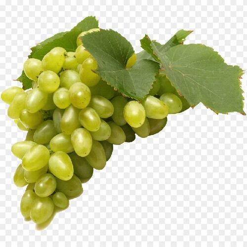 No Artificial Flavour Pesticide Free Sweet Taste Fresh Green Grapes Origin: India