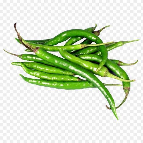 Spicy Natural Taste Chemical Free No Artificial Color Fresh Green Chilli