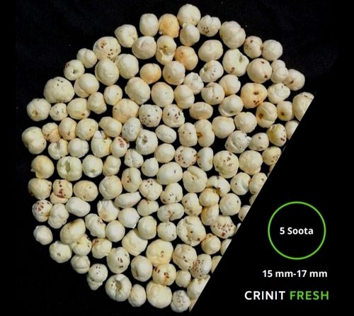 White Makhana Fox Nut Rich In Nutrients And High In Antioxidants