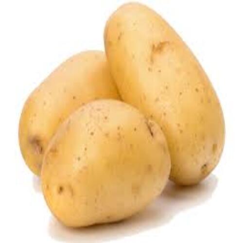 Round & Oval Mild Flavor Chemical Free Rich Natural Delicious Taste Brown Fresh Potato