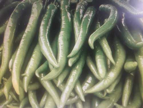 Spicy Flavour Organic Green Chilli