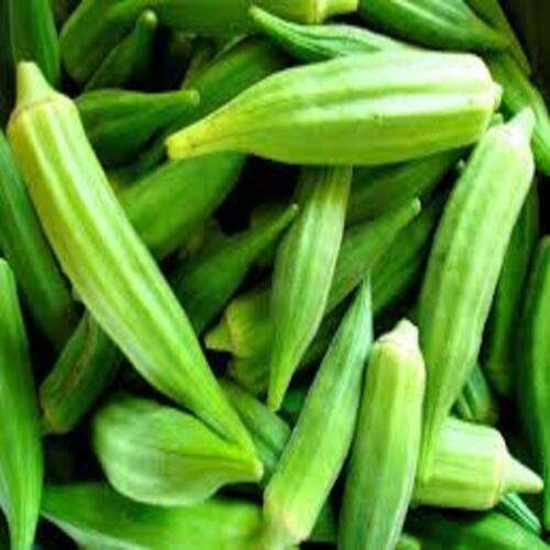 Multicolor No Artificial Color Healthy Natural Rich Taste Green Fresh Okra