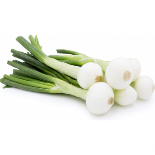 Rich Healthy Natural Taste Enhance The Flavor Fresh Spring Onion