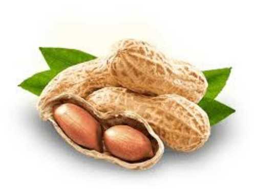 Fine Taste Brownish Raw Peanuts for Direct Consumption, Home and Restaurant