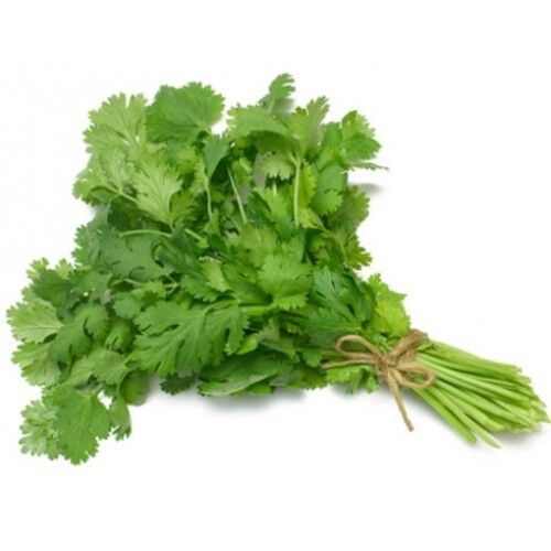 Good Fragrance Healthy Natural Rich Taste Green Fresh Coriander Leaves