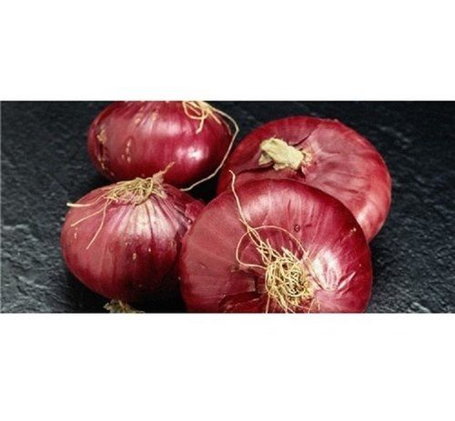 Pesticides Free 100 Percent Natural, Fresh And Organic Red Onion Shelf Life: 1 Months