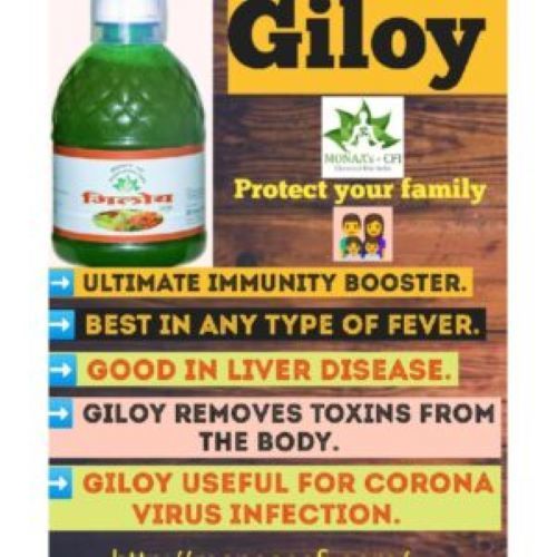 Ultimate Immunity Booster Giloy With Good In Liver Disease And Removes Toxins From Body