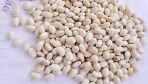 White Color Kidney Beans (Rich In Fiber And Protein)