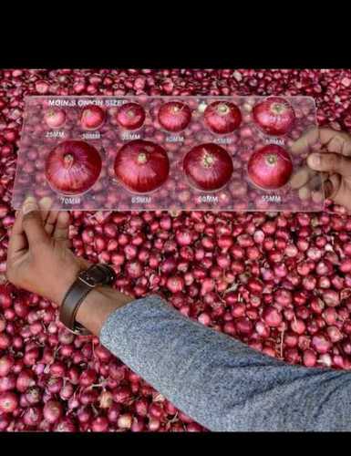 100% Mature Hygienically Packed Fresh Red Onion In Oval And Round Shape Shelf Life: 1 Months