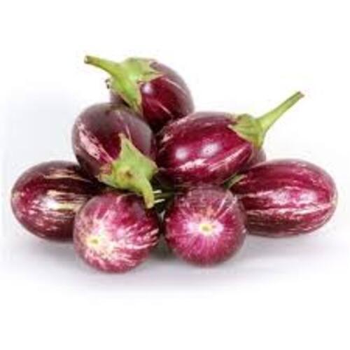 Healthy Delcious Natural Rich Fine Taste Chemical Free Purple Fresh Brinjal