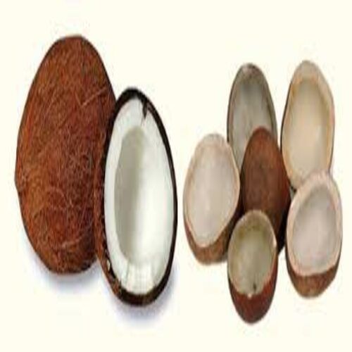 Long Shelf Life Fine Natural Rich Taste Healthy Brown Dried Coconut Copra