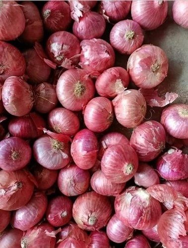 Medium Sized Organic Pure And Natural Fresh Red Onions For Cooking And Salads Shelf Life: 6 Months