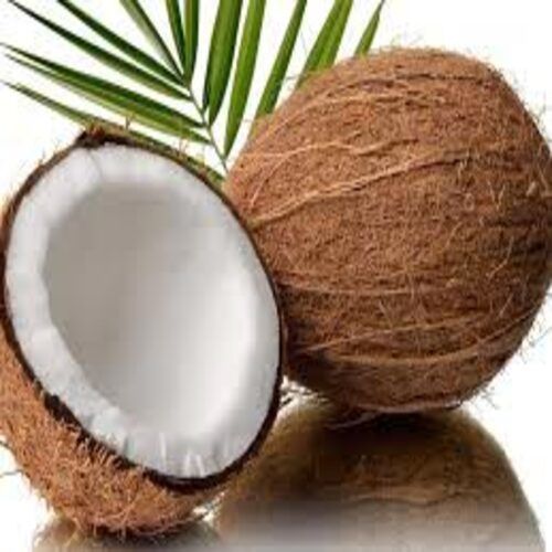 Sweet Natural Delicious Taste Free from Impurities Healthy Brown Fresh Coconut