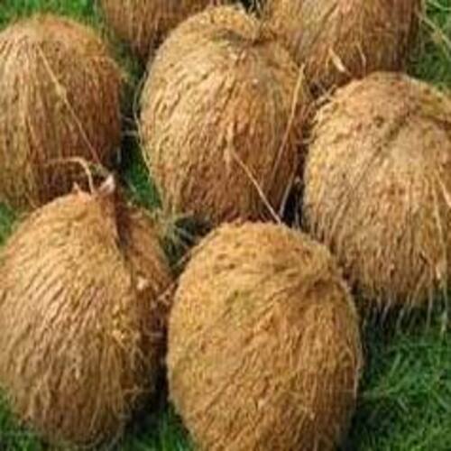 Free From Impurities Natural Rich Taste Healthy Brown Fresh Coconut