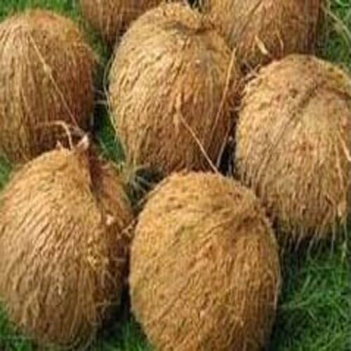 Healthy Rich Natural Taste Free From Impurities Brown Fully Husked Coconut