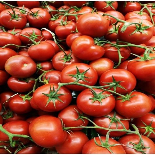 Round Fresh Red Tomatoes For Cooking(Soup, Sabji And Dal)