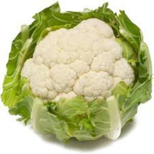 Chemical Free Rich Natural Delicious Taste Healthy White Fresh Cauliflower