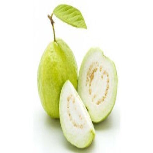 Fine Sweet Rich Natural Delicious Taste Healthy Green Fresh Guava