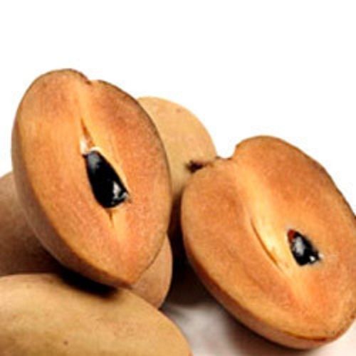 Frozen Organic Sapodilla Fruit For Shakes, Smoothies, Confectionery And Bakery