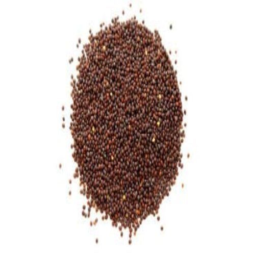 Healthy Natural Rich Fine Taste Chemical Free Brown Mustard Seeds