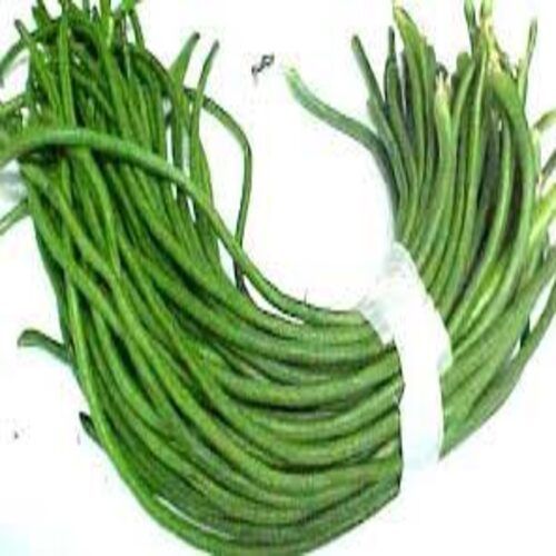 High Fiber Chemical Free Rich Natural Taste Green Fresh Long Beans Origin: India