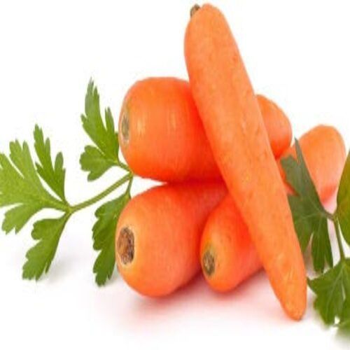 Long High Fiber Healthy Natural Rich Taste Chemical Free Orange Fresh Carrot