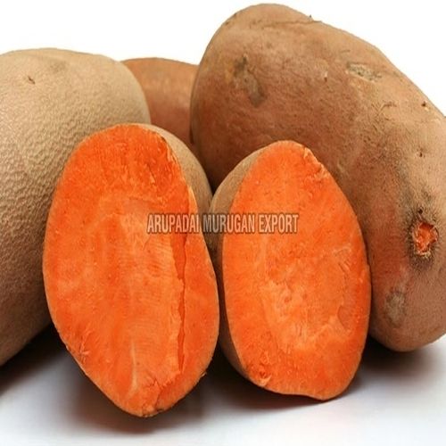 Free from Infestation Rich Natural Fine Taste Brown Organic Fresh Sweet Potato