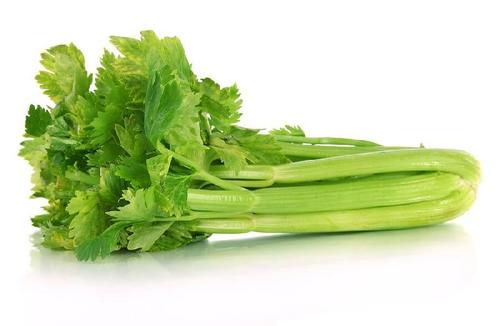 Healthy Natural Rich Fine Taste Chemical Free Green Fresh Celery