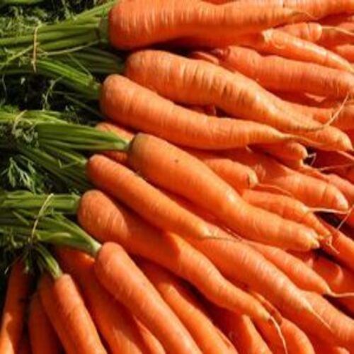 High Fiber Healthy Natural Rich Taste Chemical Free Orange Fresh Carrot