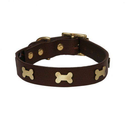 Brown Color Leather Dog Collar With 10-15 Feet Length And Width 1-2 Inch