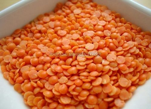 Easy To Cook Rich in Protein Natural Taste Dried Red Masoor Dal