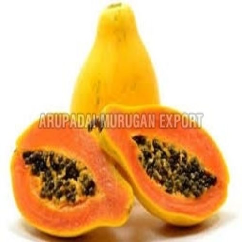 Easy To Digest Healthy Rich Delicious Natural Taste Organic Fresh Papaya