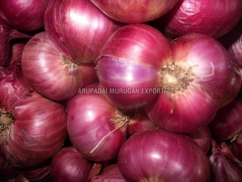 Enhance The Flavor Rich Healthy Natural Taste Fresh Red Onion