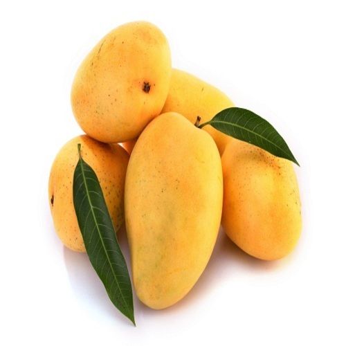 No Artificial Color Sweet Delicious Rich Natural Taste Healthy Yellow Fresh Mango