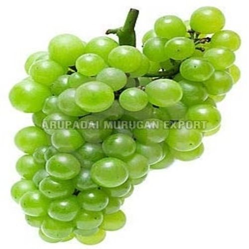 Rich Delicious Natural Juicy Taste Chemical Free Healthy Fresh Green Grapes Origin: India