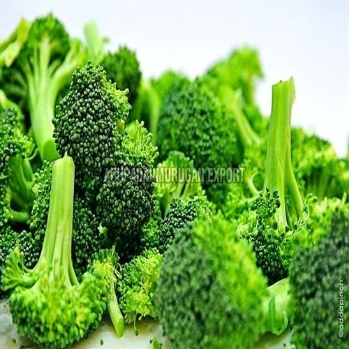 Fresh Broccoli - Solid Green Vegetable from India | Natural Taste, Chemical Free, Safe for Cooking and Healthy Consumption