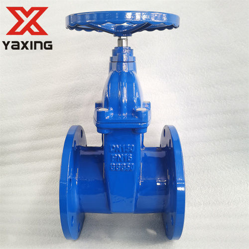 Bs5163 Rf Double Flange Ductile Iron Resilient Seated Gate Valve With Blue Color Plain