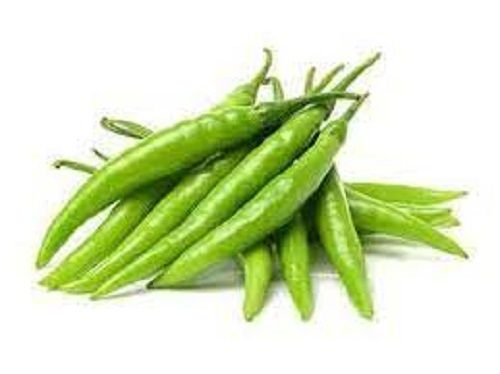 Good For Immunity And Anti-Epileptic Agent Fresh Green Chilies Which Adds Spiciness To Dishes Moisture (%): 84.20I? 1 %