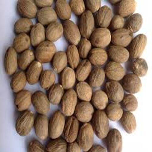 Solid Whole Spice Healthy Rich Natural Taste Chemical Free Brown Dried Shelled Nutmeg