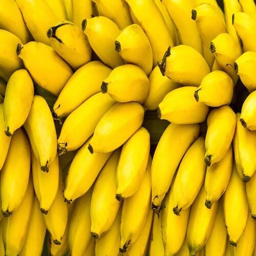 No Artificial Color Absolutely Delicious Rich Natural Taste Healthy Yellow Fresh Banana