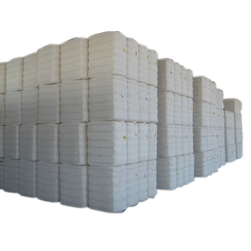 Normal Pure White Cotton Bales Use In Filling Material And Yarn Making