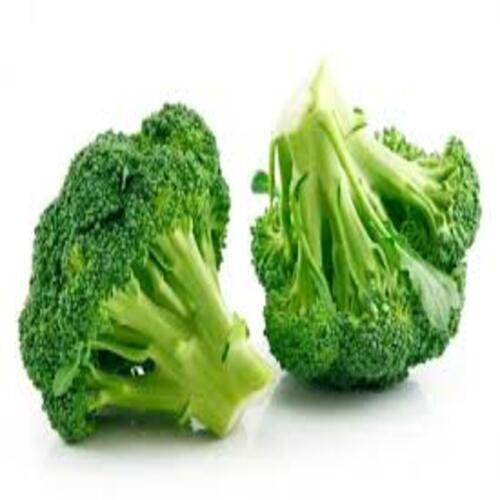 Rich Natural Taste Chemical Free Healthy To Eat Green Fresh Broccoli