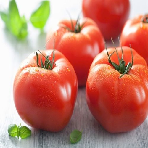 Fresh Tomato - Round & Oval Shape, Solid Red Color | Chemical Free, Natural Taste, Mild Flavor, Safe Packaging, Ideal for Cooking and Salads